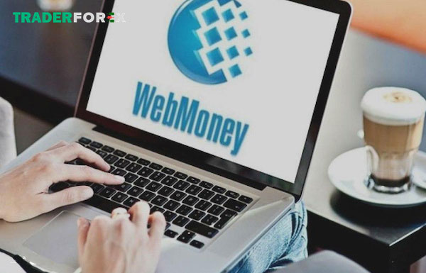 Ưu điểm hoạt động của Webmoney