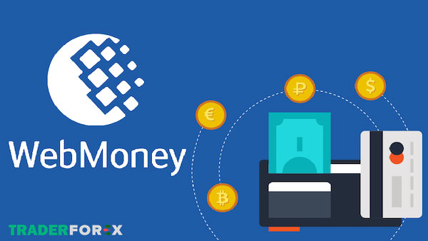 Những hạn chế còn tồn tại của Webmoney